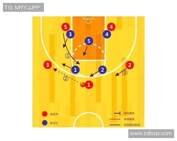 深入分析杭州排球队的进攻策略与战术特点