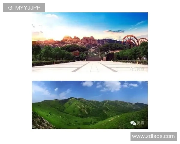 重庆极限运动队的整体压制现象及其对极限运动发展的影响分析