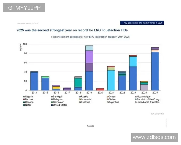 全球挑战赛分析LNG灵活性表现引发的市场变革与机遇探讨